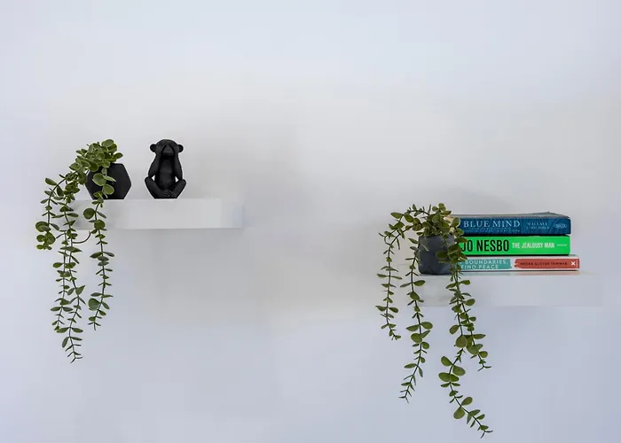 Back Loop 萨格里什